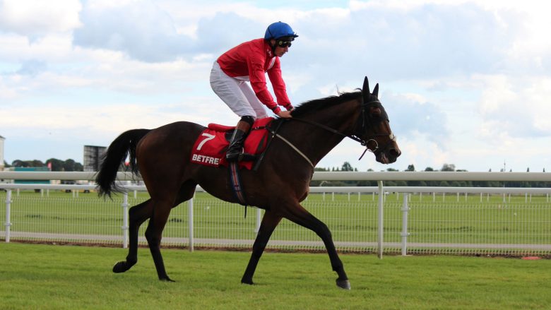 Accommodation near York Racecourse